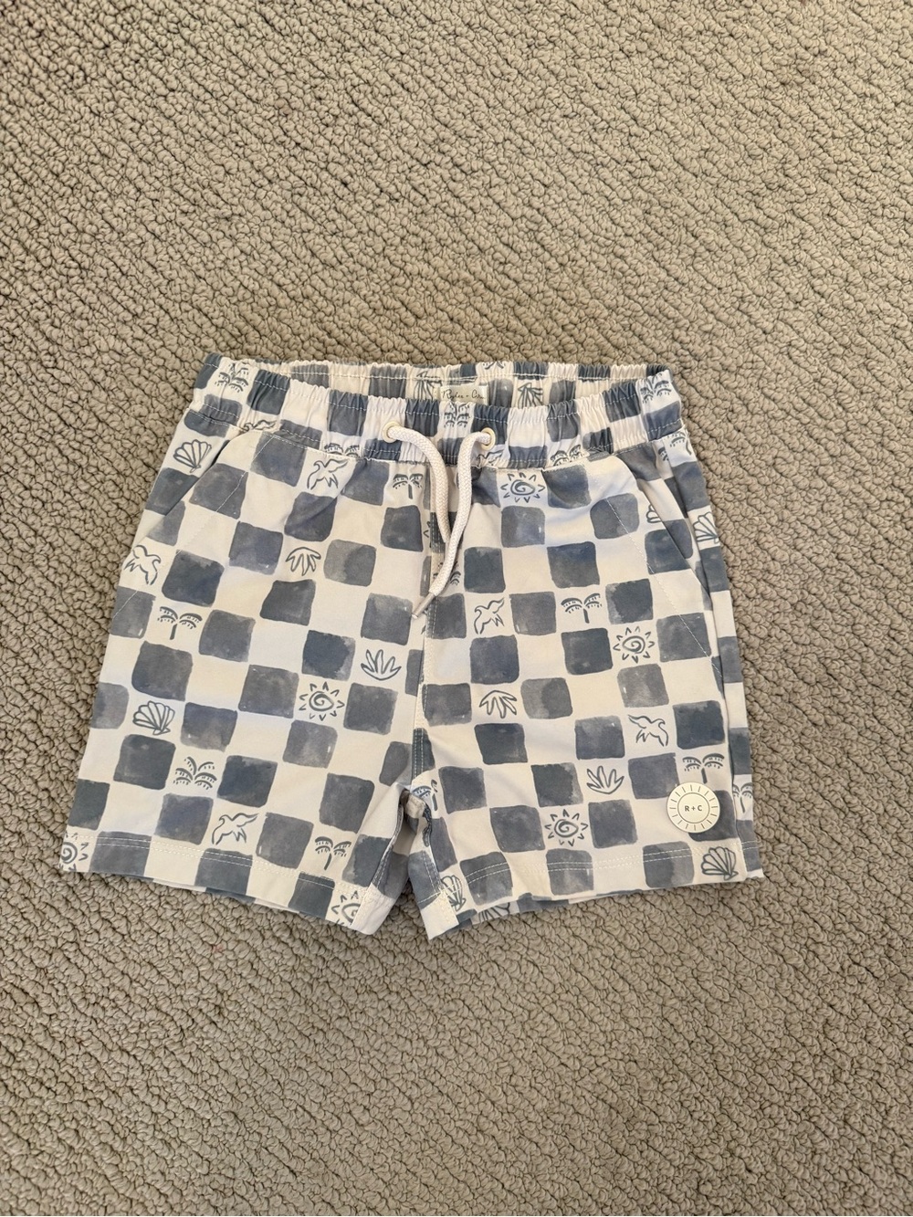 Rylee + Cru Blue and White Checkered Swim Trunks